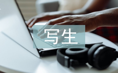 寫生實訓總結