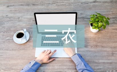 三農(nóng)工作思路