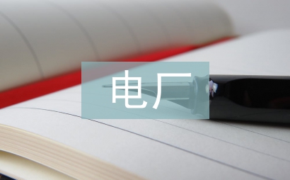 電廠鍋爐監(jiān)理工作總結(jié)