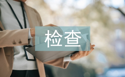 巡視檢查匯報材料
