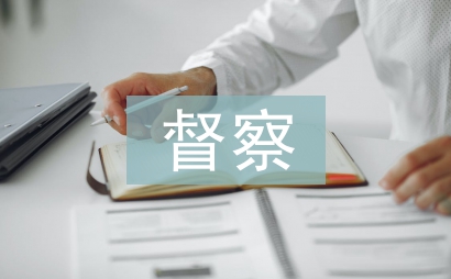 督察匯報材料