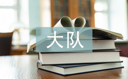 紅旗大隊申報材料