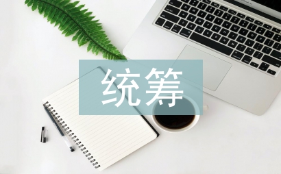 統(tǒng)籌管理論文