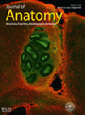 Journal Of Anatomy雜志
