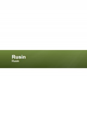 Rusin雜志