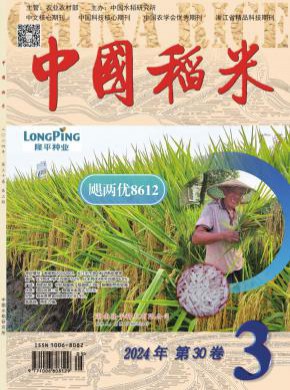 中國稻米