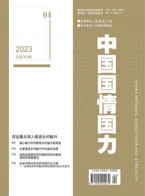 中國國情國力