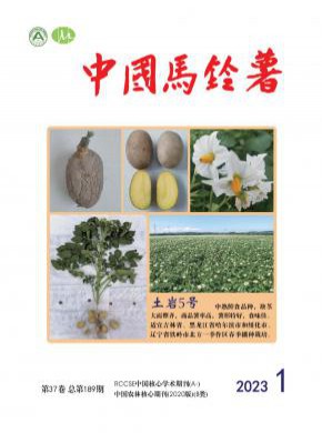 中國馬鈴薯