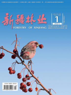 新疆林業