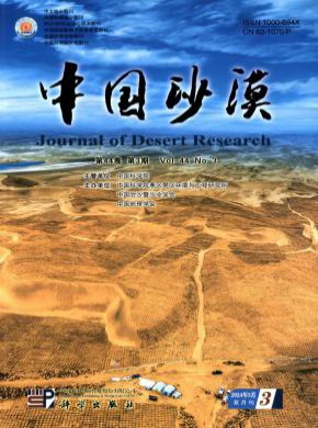 中國沙漠