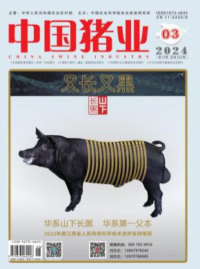 中國豬業