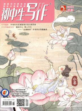 初中生寫作