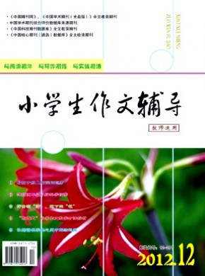 小學(xué)生作文輔導(dǎo)·教師適用