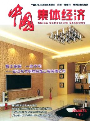 中國(guó)集體經(jīng)濟(jì)·下半月