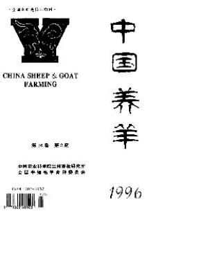 中國(guó)養(yǎng)羊